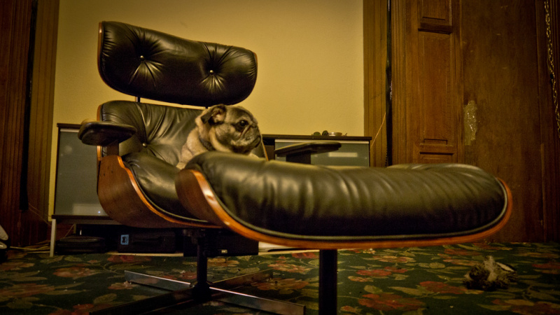 Plycraft Lounge Chair Restoration
