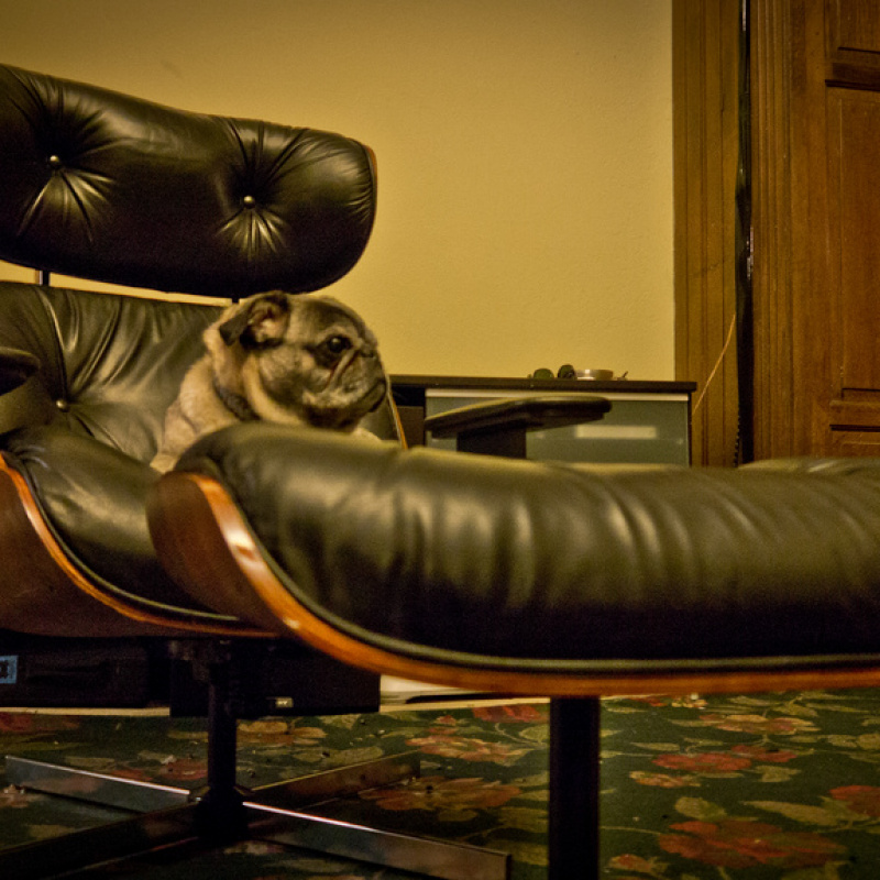 Plycraft Lounge Chair Restoration