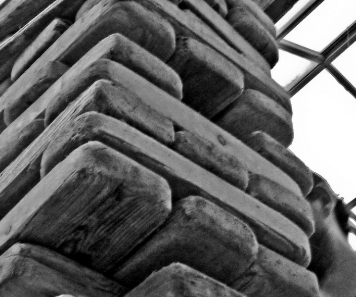 Neon’s Shines too Bright